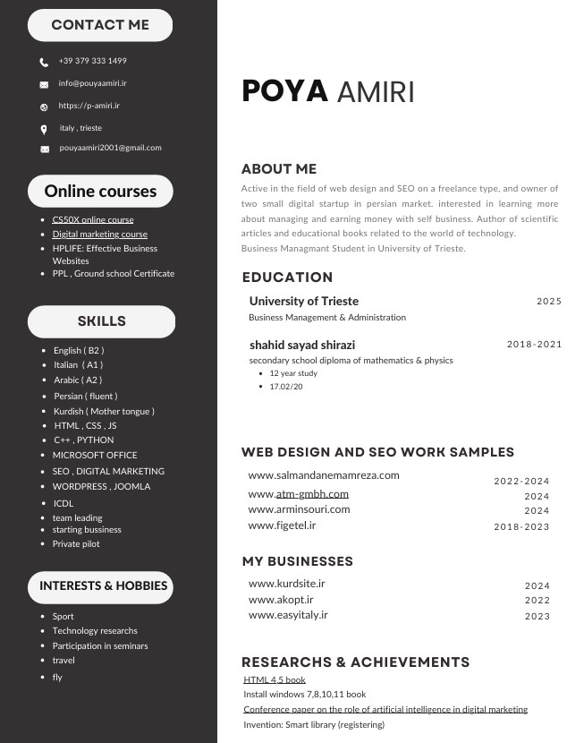 رزومه پویا امیری . resume poya amiri